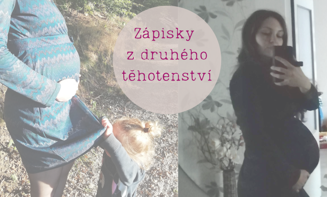 Zápisky z druhého těhotenství