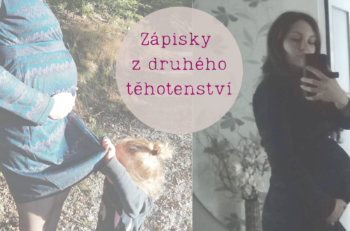 Zápisky z druhého těhotenství