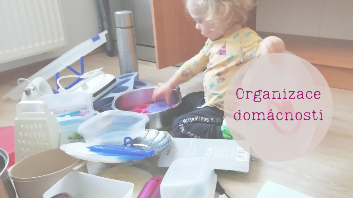 Organizace domácnosti