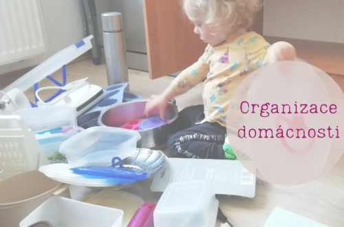 Organizace domácnosti